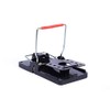 Mouse Trap by Eco Pro | 12-Pack Reusable Small Rodent