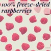 powbab Raspberry Pieces + Bits. Freeze Dried Raspberries for Baking