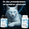 Bcaas Glutamina Linx Fit 1kg 50 Servicios Varios Sabores