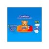 Toallitas Húmedas Chicolastic Classic 120 Piezas Suaves Resistencia