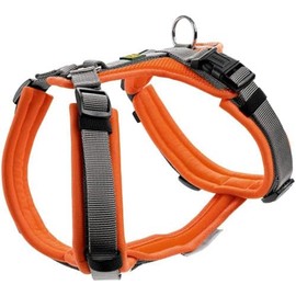 Hunter Maldon Y-Shape Soft Padded Harness for Sports, XS