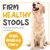 maxxipaws maxxiscoot Anal Gland & Digestive Health Support for Dogs