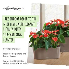 Lechuza 15467 Delta 10 屋内外用 12インチ x 4インチ x 5インチ セルフウォータープランター 6個 チャコールメタリック