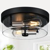 Flush Mount Ceiling Light Fixtures, 2-Light Black and Silver Ceiling