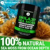 Organic Shilajit Gummies with Sea Moss Gummies - Shilajit Supplement