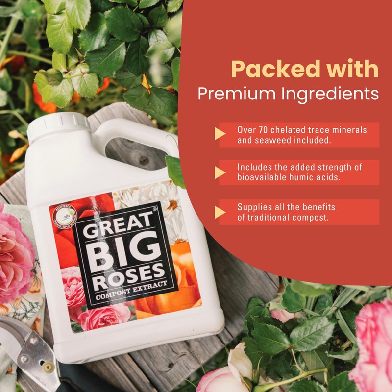 Great Big Roses – Soil and Rose Fertilizer Booster to