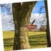 Hohopeti Bird Bath and Feeder Tray Tree Mounted Squirrel Feeder