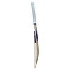 Gunn & Moore GM, RADON, Cricket Bat, DXM, TOETEK Technologies,