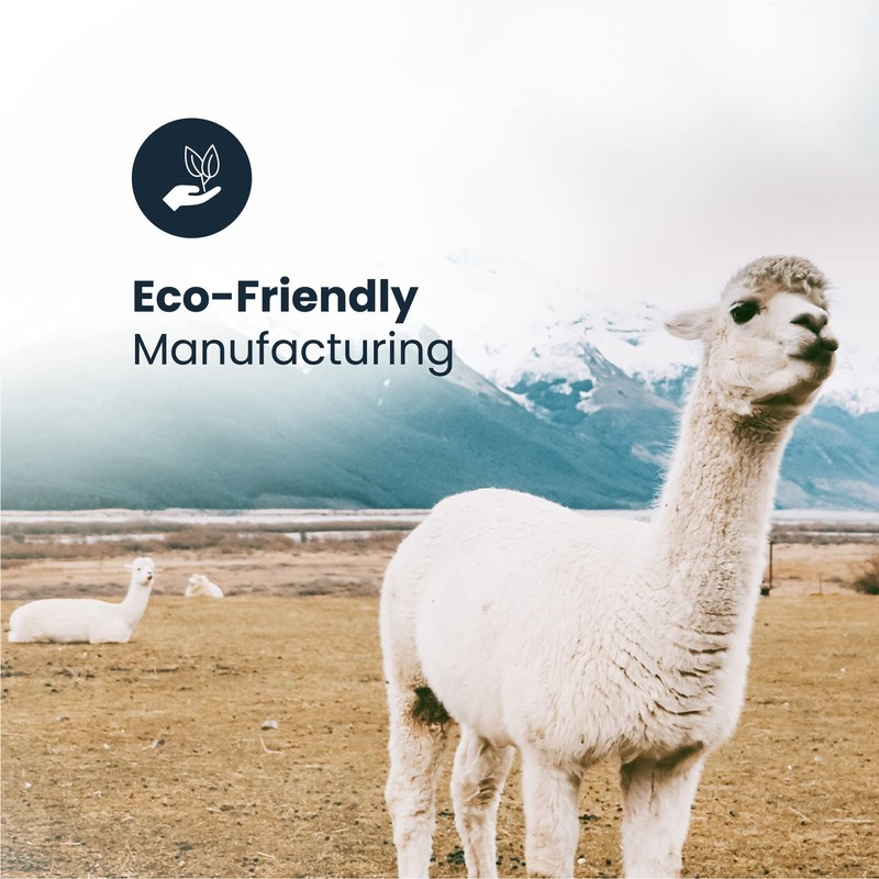 Gamboa Black Scarf – Llamitas - black