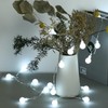 Dailyart Globe String Lights Battery Powered 40Led 20FT String Lights