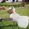 ASENKU Dog Dress for Wedding, Pet Lace Princess Dress with