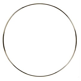 Darice Brass Metal Rings 16 inches