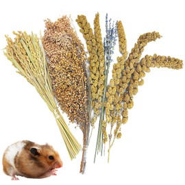 Fhiny Natural Hamster Bedding Mate, Edible Hamster Sprays Flowers & Herbs Gerbil Habitat Enclosure Decor Grain Treats Cage Accessories for Dwarf Syrian Hamster Gerbil Degus Lemming Mice