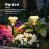 PATIOPIA Solar Pathway Lights Garden Decor for Yard, Solar Garden