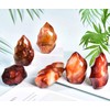 AMOYSTONE Red Agate Flame Shaped Stone Towers Obelisk Natural Healing