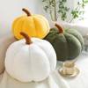 Maxpetus 3D Simulated Pumpkin Pillow Plush Pillow Sofa Cushion (11inch,