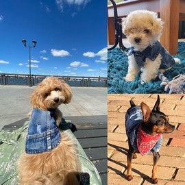 Jean Jacket, Puppy Blue Denim Lapel Vest Coat Costume, Dog T-Shirt Clothes, Cool and Funny Apparel Outfits, Machine Washable Pet Outfits for Small Medium Dogs Cats (XS)