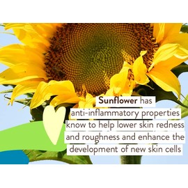 Babo Botanicals Babo Botanicals Sensitive Baby Mineral Sunscreen Lotion SPF50 - Natural Zinc Oxide - Face & Body - Fragrance-Free - Water-Resistant - EWG Verified - Vegan - Extra Sensitive Skin - For Babies & Kids