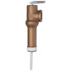 Reliance 9001583-045 2-1/2-Inch Shank Water Heater Temperature and Pressure Relief