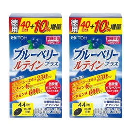 300mg / 300mg x A 블루베리 보충제 [블루베리 루테인 플러스 대용량 (약 44일분), 2개, 132정