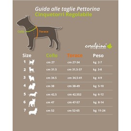 Coralpina - Cinquetorri Adjustable Harness for Small to Medium Dogs, Soft and Breathable, Does Not Harm Hair or Hinder Movement, Neon Pink, Size 3