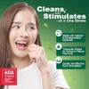 STIM-U-DENT - Plaque Removers, Value Pack, Mint, 8 pk -