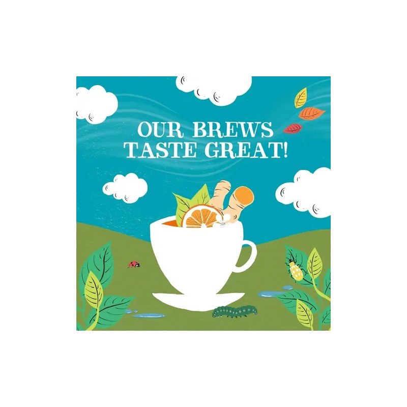 Clipper Tea Té Orgánico Naranja Y Cúrcuma 20 Bolsitas