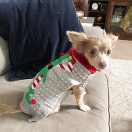 NACOCO Christmas Dog Sweater Ugly Elf Pet Jumper Clown Holiday and Party for Dog and Cat (XXL)