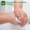 Anti-Bacterial Original Soap 2 PCS Pack, 2 x 100 g