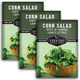 Corn Salad Verte de Cambrai Seeds for Planting - 3 Packets with Instructions to Plant and Grow Lamb's Lettuce or Mache in Your Home Vegetable Garden - Non-GMO, Heirloom Variety - Survival Garden Seeds