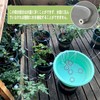 Beauty PLAYER Watering Duty Water Cap Plant, White, Set of