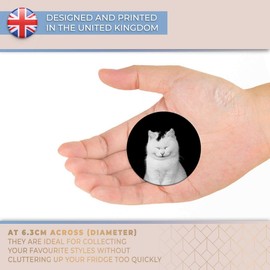 Destination Vinyl ltd Magnet for Refrigerator, Fridge - Cute Smiling White Cat Kitten Animals for Office, Cabinet and Whiteboard, Magnetic Stickers, 8276
