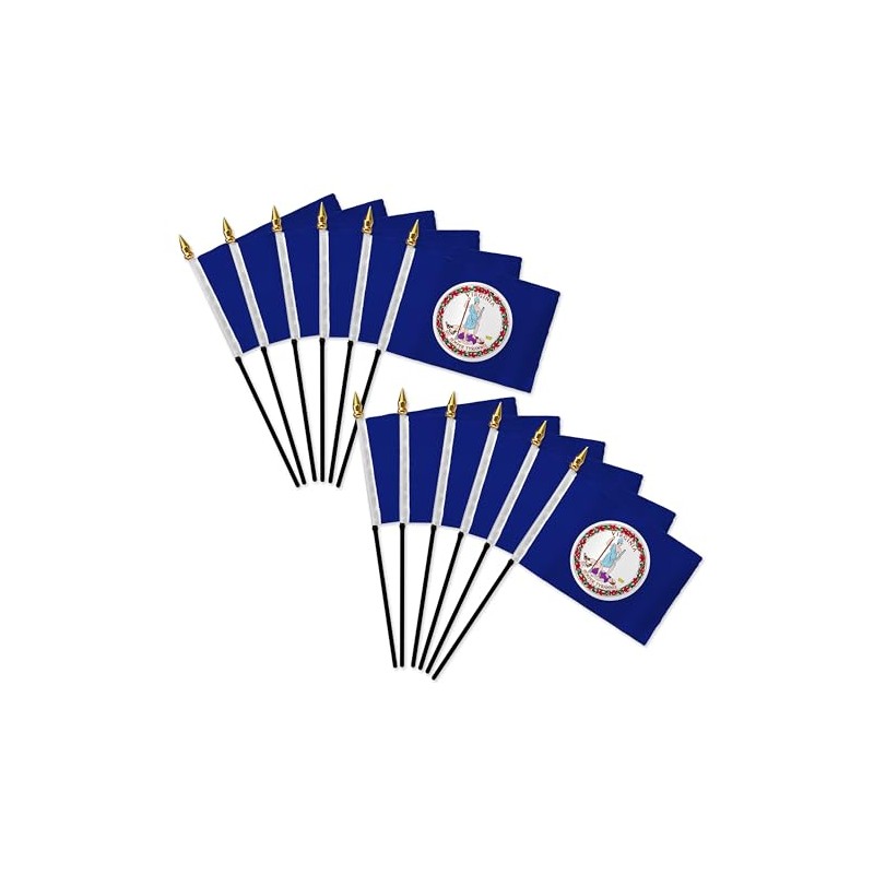 Virginia 4x6in Stick Flag - 1 dozen pack