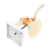 QWORK® Shoulder Joint Anatomical Model, Skeleton Model with Flexible Bands,