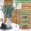 Andekas 25 PCS Real Dried Eucalyptus Stems for Shower Hanging-17''