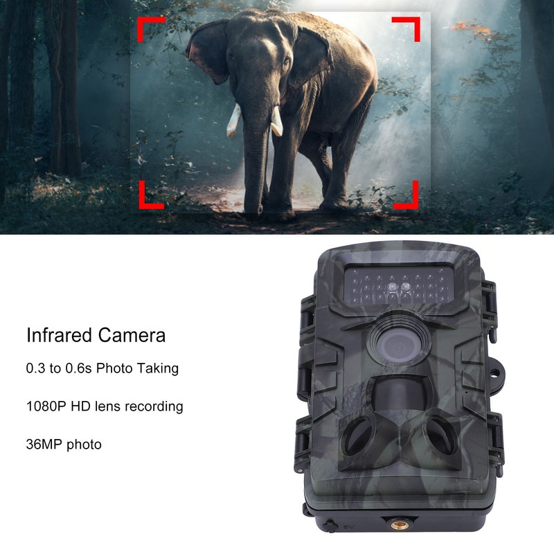 Hunting Camera 2MP Waterproof Stable Clear 0.3s to 0.6s Photo