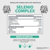 Selenio | Seleniometionina 240mcg, con Vitamina E, Moringa y Raíz