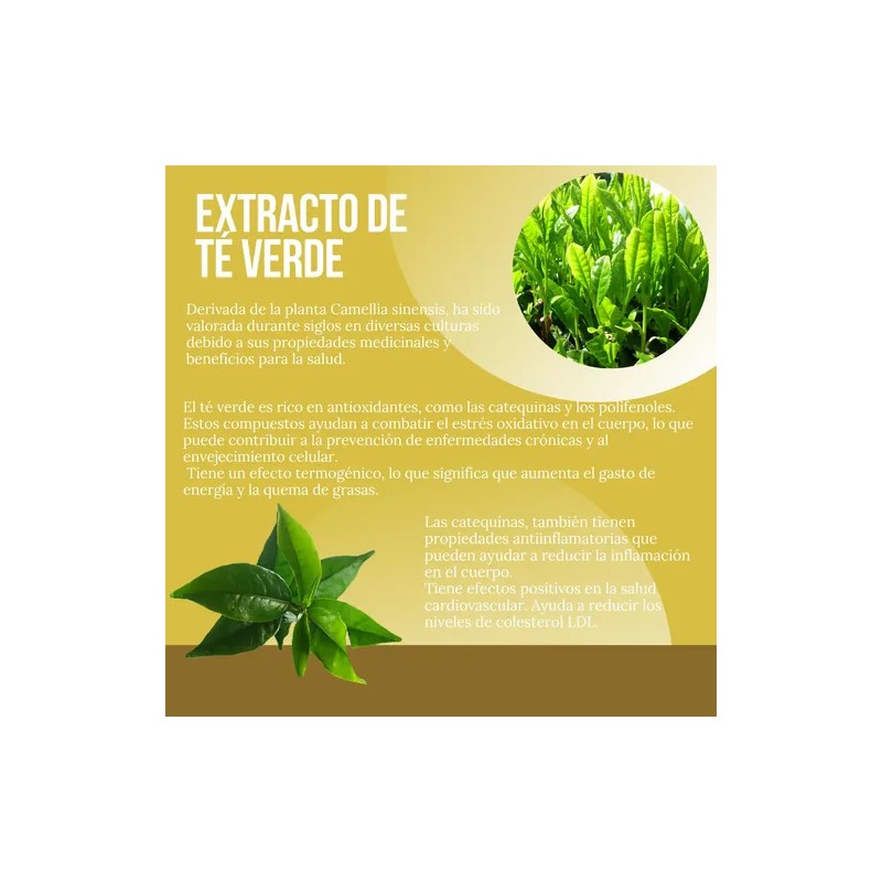Suplemento Antiob Control De Sobre Peso Mesocaps 90 Cápsulas
