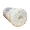 IPW Industries Inc. - Whole House Water and Sediment Filter