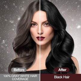 JELMOK Black Hair Dye Shampoo, Haarfärbeshampoo Schwarz für graues Haar Sofort-Haarfarben-Shampoo, haarfarbe Haarshampoos Schwarz, Hair Color Farbshampoo für Männer und Frauen (500ML) (Schwarz)