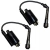 Caltric Set of 2 Ignition Coils for Kawasaki EX500 Ninja