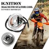 Ignition Magneto Stator Coil with Flywheel Rotor Kit with Plate