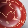 Kosei A-06 Echizen Lacquerware Echizen Lacquerware Bowl, Couple, Soup Bowl,