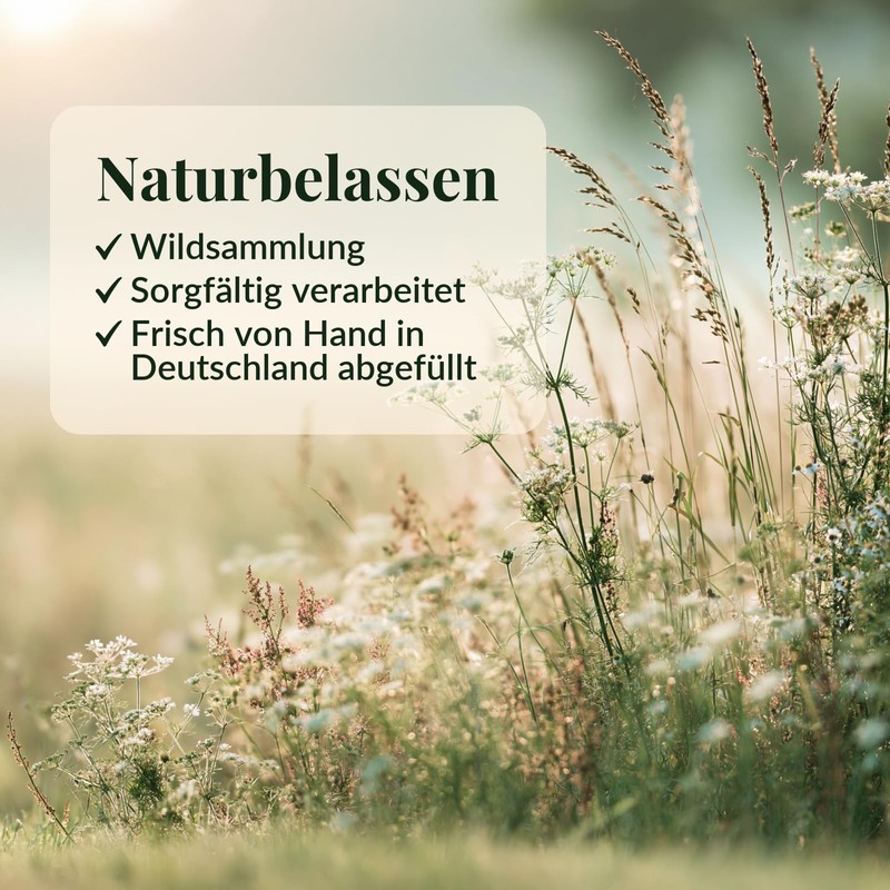 Stork's Beak Tea Geranium 500 g Galsters Kräuter