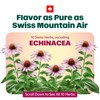 Ricola Honey Lemon Echinacea Cough Drops with Menthol - Minor