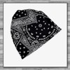 Rex Standard CH080 Knit Hat, Paisley Pattern, Neck Warmer Cap,