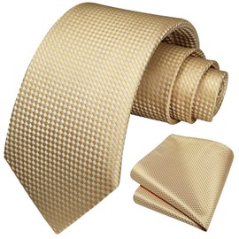 HISDERN Champagne Ties for Men Formal Mens Ties and Pocket Square Set Tie Silk Polka Dot Necktie Handkerchief for Wedding Business Graduation School Party…