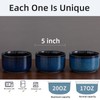 Chubacoo Ceramic Bowls Set with Lids: Set of 4 Microwave
