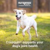 Nutramax Cosequin Con Msm Salud Articular Para Perros 180pz