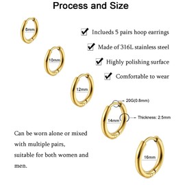 5 Pairs of Hoop Earrings for Men and Women, 316L Surgical Steel Earrings, Hoop Earrings, Silver Gold Black, Hypoallergenic Helix Earring, 8/10/12/14/16 mm, Stainless Steel